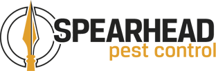 Spearhead Pest control logo 